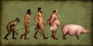 evolution_pig