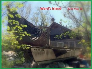 Ward's Island