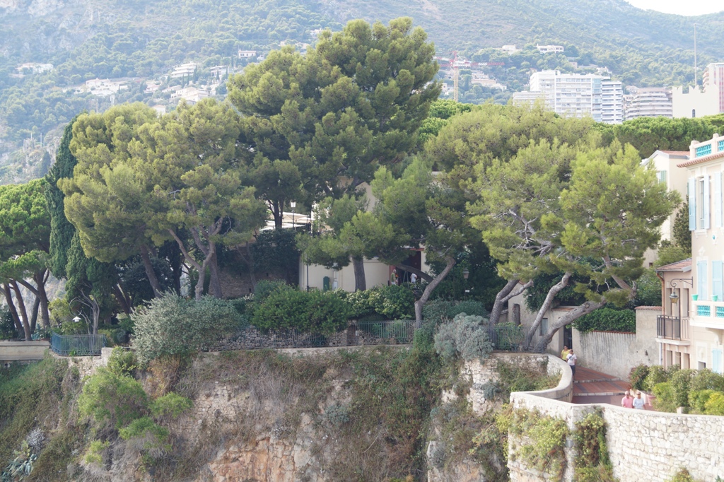 Cliff-side view of Fontvieille Park, near Prince\'s Palace, Monaco