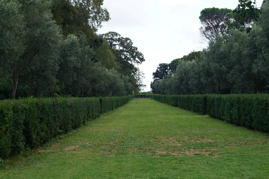 Long hedges at Château de Flaugergues, Montpellier