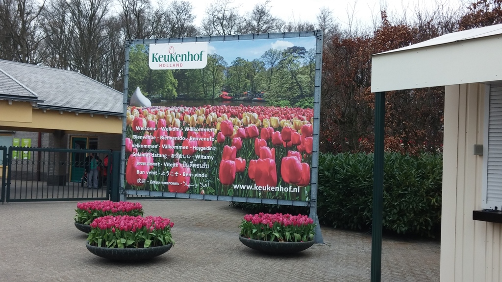 11_keukenhof-gardens-holland